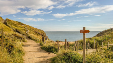 Photo de Chemin d'accès à la plage de Choizeau - 44 Commune de Préfailles
