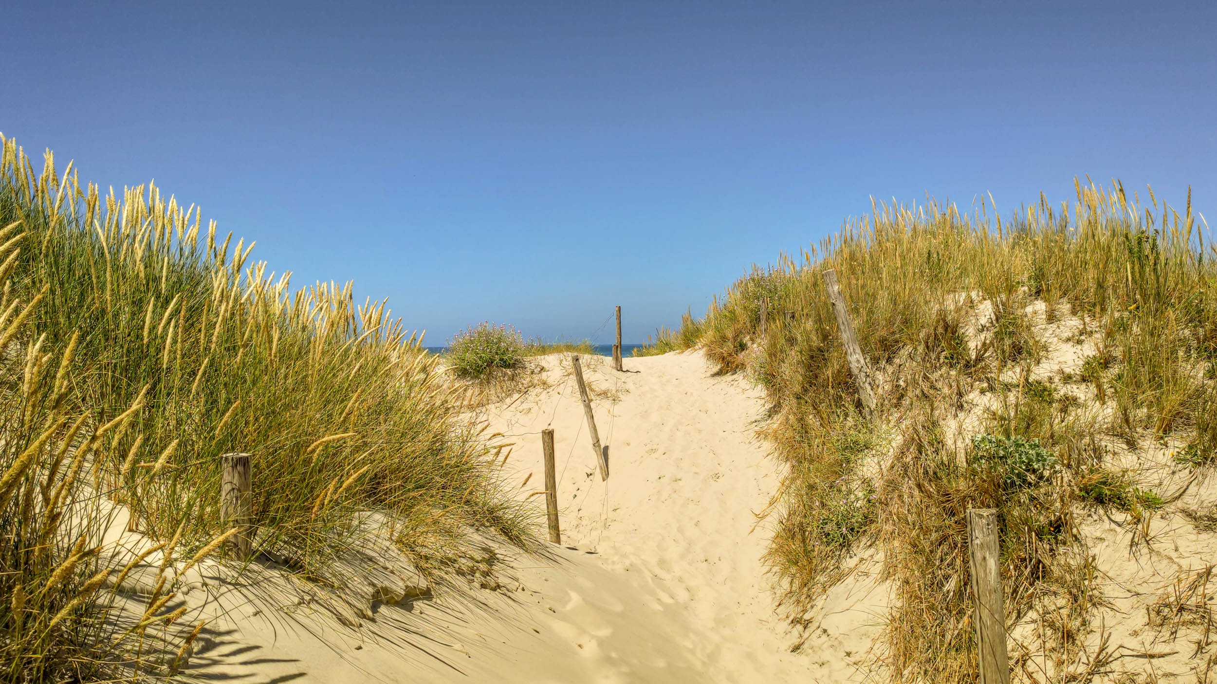 Photo de la plage naturiste Plage de Kermabec, à Tréguennec